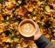 75 fun fall trivia questions for kids and adults