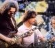 grahame lesh warren haynes and more are reviving a grateful dead tradition nearly 2 decades later