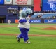hillsborough county commission approves rays stadium proposal
