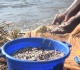kenyan women defy fishing taboos as climate change threatens lake victoria