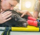 the internet is sharing the little things it does for pets after they die and it s the purest thing you ll read today