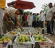why have several nations raised red flags over indian farm exports