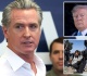 california s left creates a sanctuary for predators then rages at the consequences