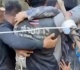 rescue teams celebrate as survivors found in laos cave