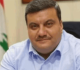 شادي السيد هل يعتبر المسؤولون ان ما يعطى للقطاع العام رواتب