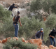 مستوطنون يهاجمون موكبا دبلوماسيا في الضفة الغربية ويعتدون على رئيس بلدية فرنسي