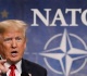 الناتو ترامب يهدد بالانسحاب وأوروبا تتمسك بسيادة قواعدها