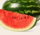 national watermelon day is august 3 here s everything you need to know about summer s favorite fruit
