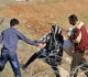 ملفات معابر التهريب شمالا الى الواجهة