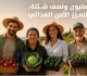 سوا منأمن الأمن الغذائي توزيع 1 5 مليون شتلة لدعم المزارعين