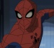 all 14 spider man tv shows ranked