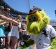 white sox to pursue starting pitching