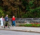 cornell 7 rape allegations letters to the editor oct 10 2026