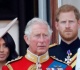 will harry and meghan finally secure the money shot a picture of their children with king charles