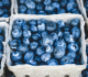 here s what happens to your blood pressure when you eat blueberries every day