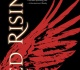 red rising author has a disappointing update about the finished rumors
