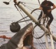 jaws which actors are still alive as classic shark film celebrates 50th anniversary