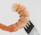 do you have shrimp posture here s how to know according to a physical therapist