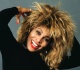 why whitney houston backed out of playing tina turner in a biopic
