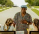 samuel l jackson s tulsa king spinoff frisco king premiere date announced