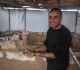 rubble mud and hair how to rebuild a home in gaza