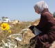 bodies with names inside gaza s cemetery of the missing
