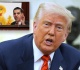left s big bird defense won t work this time as trump axes funds for biased pbs npr