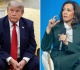 kamala harris must oppose not appease extremists in her party