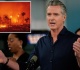 gavin newsom is bailing out utility companies and abandoning wildfire victims