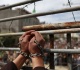 palestinian prisoner s day what happened in palestine on april 17 1971