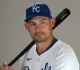 royals select luke maile