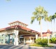 disney just brought back a beloved travel perk to another popular hotel