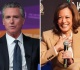 polling on gavin newsom kamala harris should alarm californians