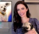 elizabeth tulloch regrets missing krypto on superman lois i was so bummed watch interview