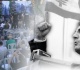 الذكرى الـ44 لاستشهاد بشير الجمي ل السلام ليس عقدة وكلمات بشير تحو لت إلى إنجيل قضية ووطن