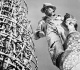 simon rodia spent 33 years building 17 towers in his los angeles yard from bottles tiles and seashells the finished towers are now a national landmark