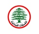 الديار القوات تخسر معركة المغتربين