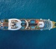 royal caribbean cruise delayed 8 hours after double medical emergency what passengers need to know