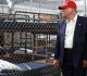 voices alligator alcatraz will get the thumbs up from trump s maga supporters