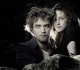 twilight just officially matched every zodiac sign to a character and the internet has thoughts
