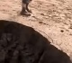 الأرض انشقت حفرة غامضة ت ربك إحدى القرى والسكان قلقون
