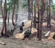 russia ukraine war list of key events day 1 183