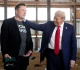 what has musk accused trump of in relation to the epstein files