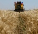 ukraine asks israel to seize ship carrying grain stolen by russia