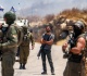 west bank ethnic cleansing settler attacks israel s state policy amnesty