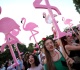 land sold for kushner backed albania resort suspected of forged deeds