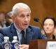 why did anthony fauci invoke the fifth amendment senate hearing explained