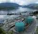 japan turns to canadian crude as asia feels hormuz supply pinch