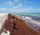 global ocean temperatures hit record high as el nino intensifies