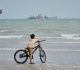 iran war live tehran offers us plan to reopen hormuz within seven days